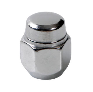 21mm HEX Acorn 2pc Wheel Lug Nuts WN107101