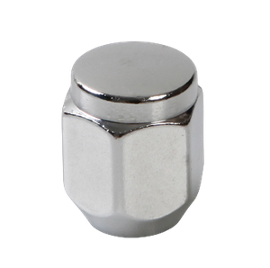 21mm HEX Acorn Wheel Lug Nuts WN103101-60